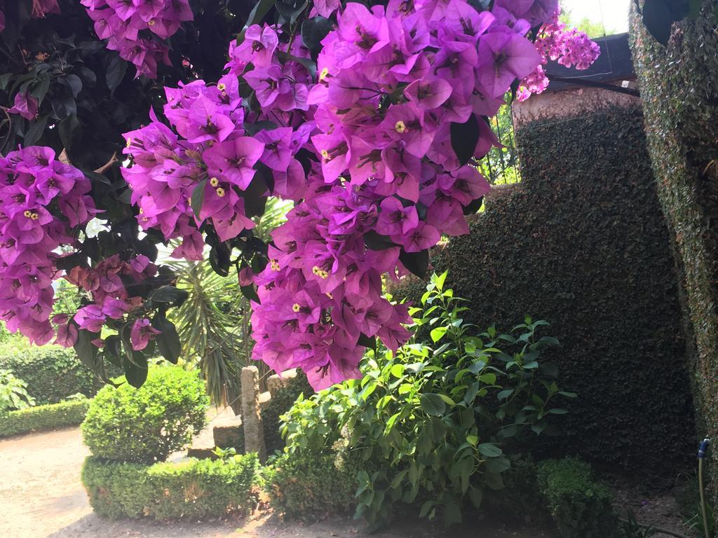 Quinta Da Ponte Do Louro Konuk evi Dış mekan fotoğraf